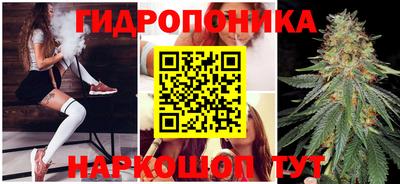 ГАЛЛЮЦИНОГЕННЫЕ ГРИБЫ Коммунар