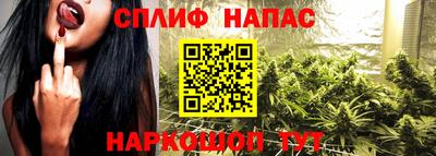 ГАЛЛЮЦИНОГЕННЫЕ ГРИБЫ Коммунар