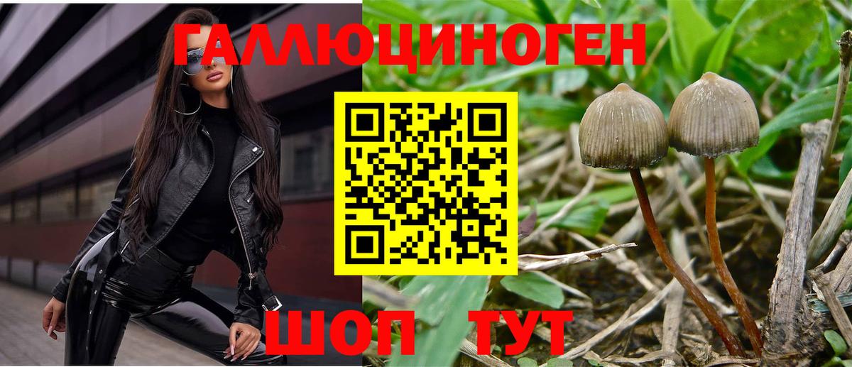 Галлюциногенные грибы ЛСД Комсомольск-на-Амуре