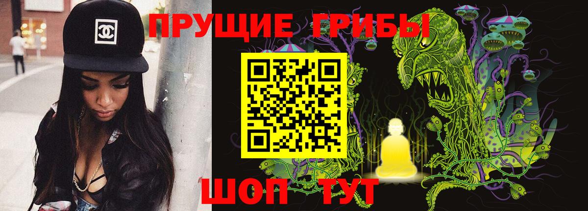 Комсомольск-на-Амуре  Галлюциногенные грибы GOLDEN TEACHER  Вход с VPN  Псилоцибиновые грибы Psilocybine cubensis 